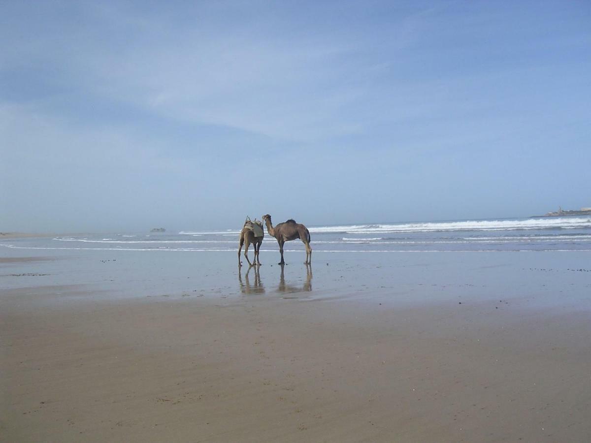 Stunning Loft With Pools Near The Beach Essaouira Extérieur photo