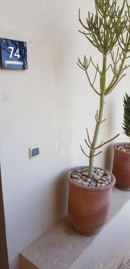 Stunning Loft With Pools Near The Beach Essaouira Extérieur photo